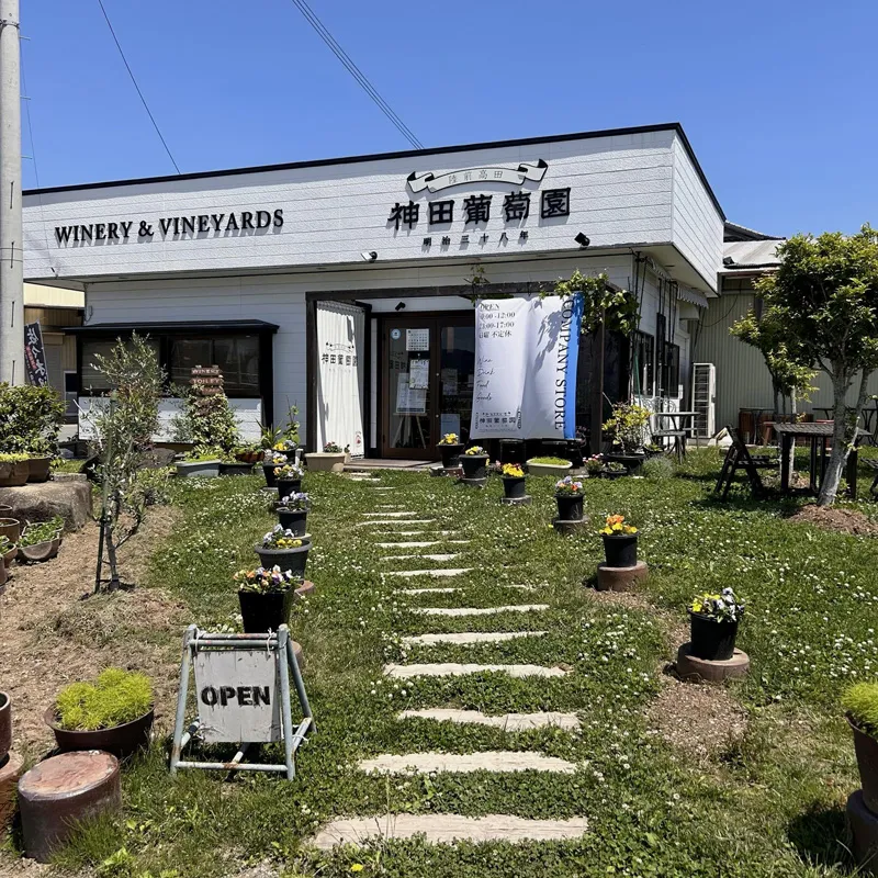 神田葡萄園の写真