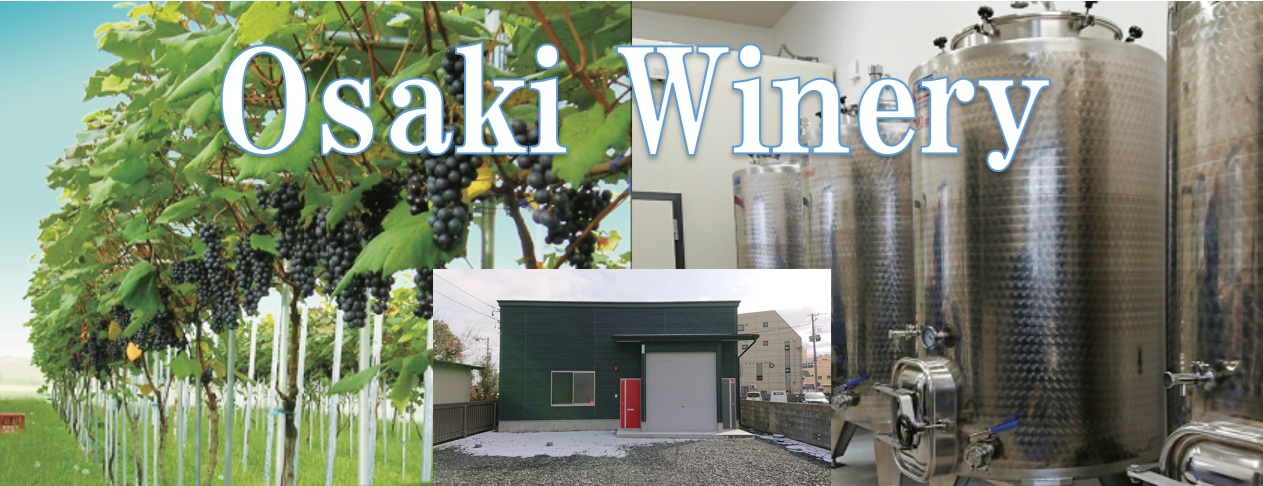 大﨑ワイナリーの写真