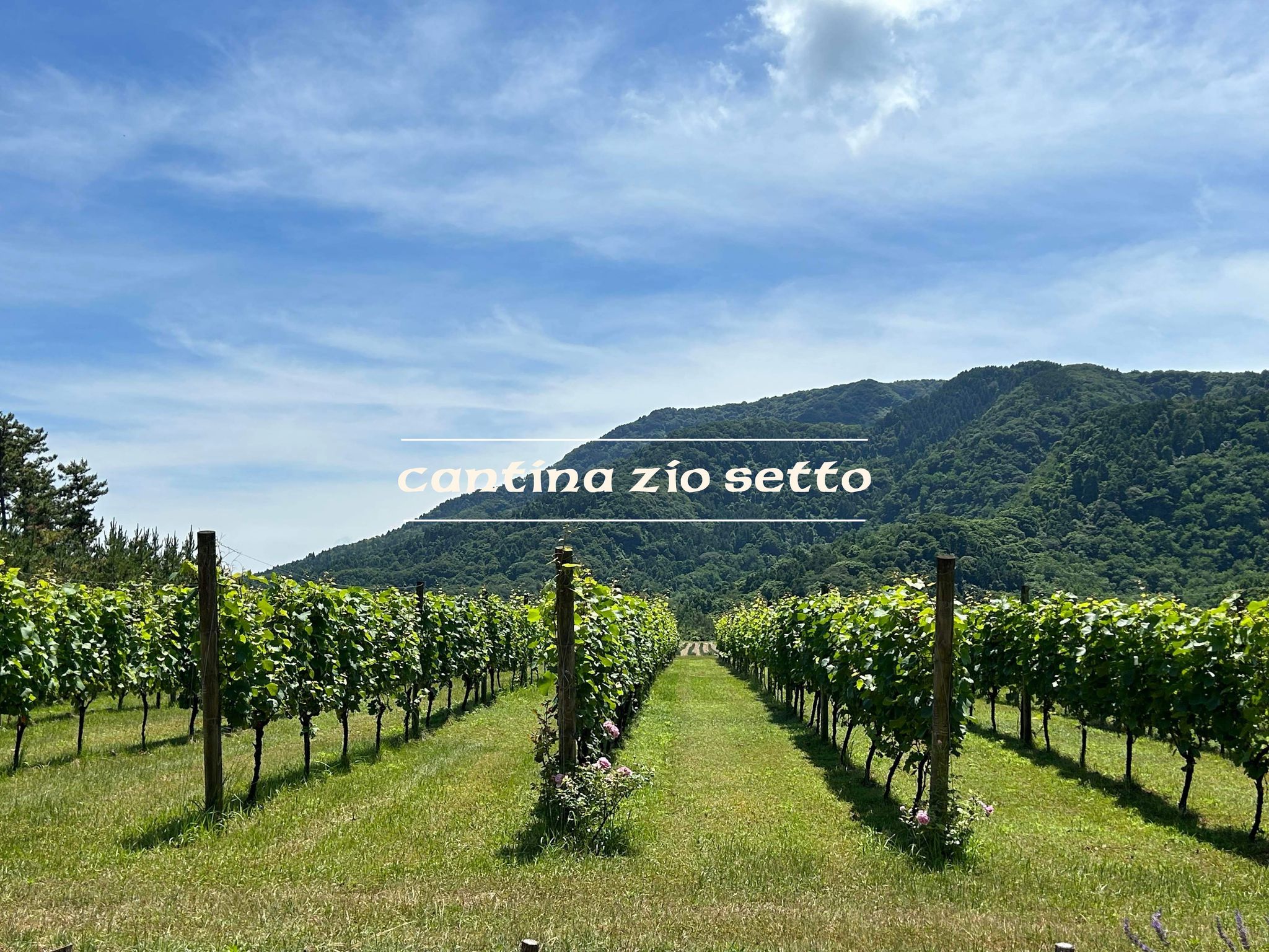 カンティーナ・ジーオセットの写真